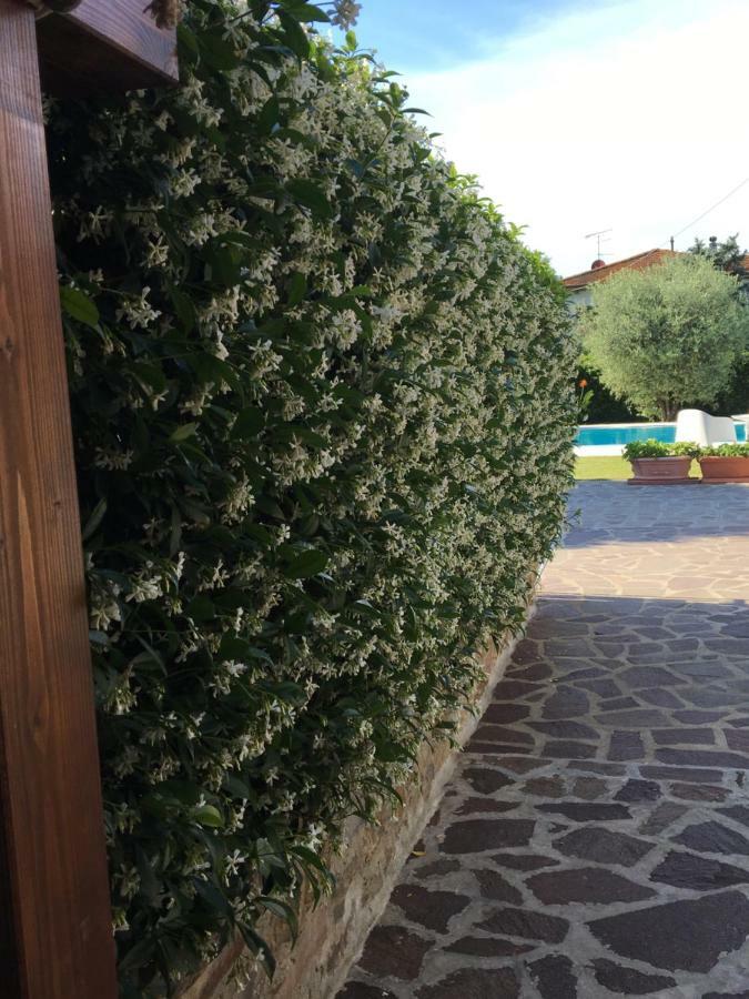 Willa Casa Pietra Del Sole Lukka Zewnętrze zdjęcie